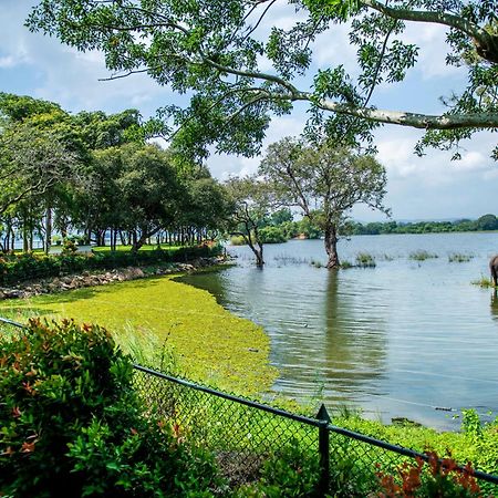 Hotel Sudu Araliya Polonnaruwa Bagian luar foto