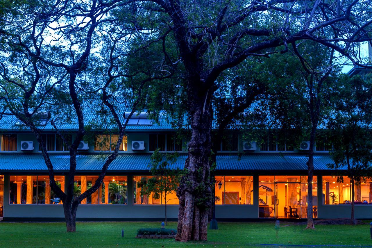 Hotel Sudu Araliya Polonnaruwa Bagian luar foto