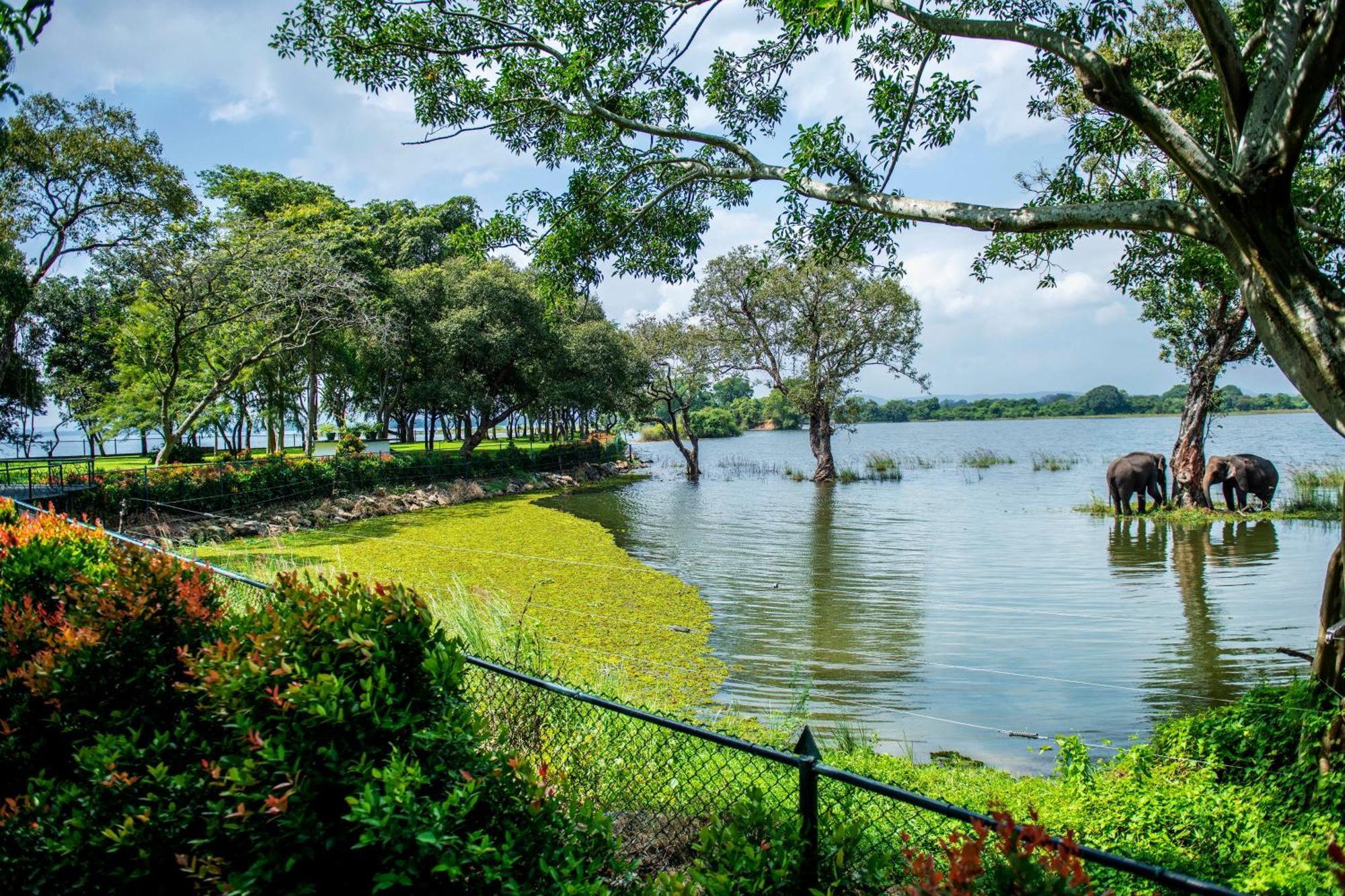 Hotel Sudu Araliya Polonnaruwa Bagian luar foto